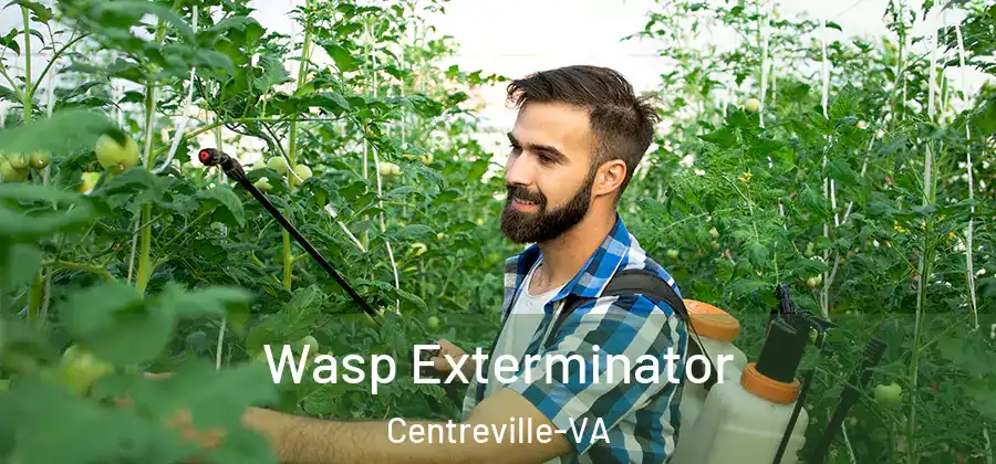  Wasp Exterminator Centreville-VA