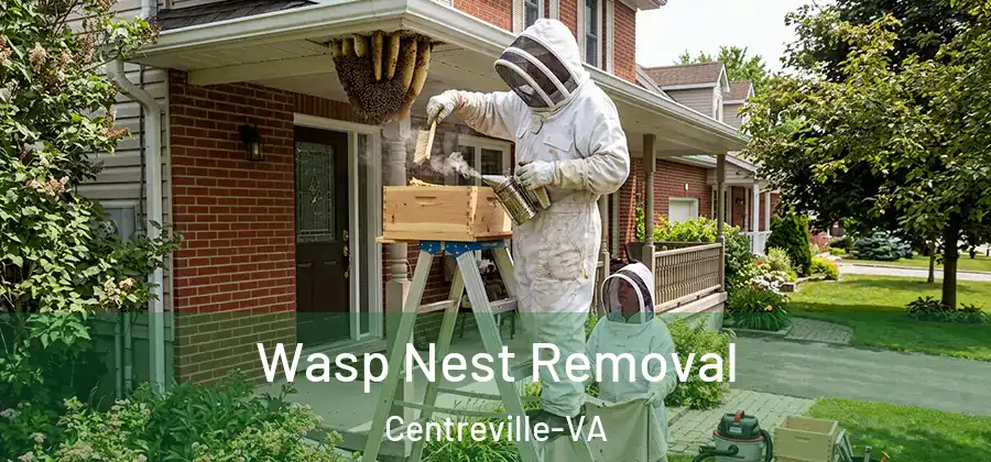  Wasp Nest Removal Centreville-VA