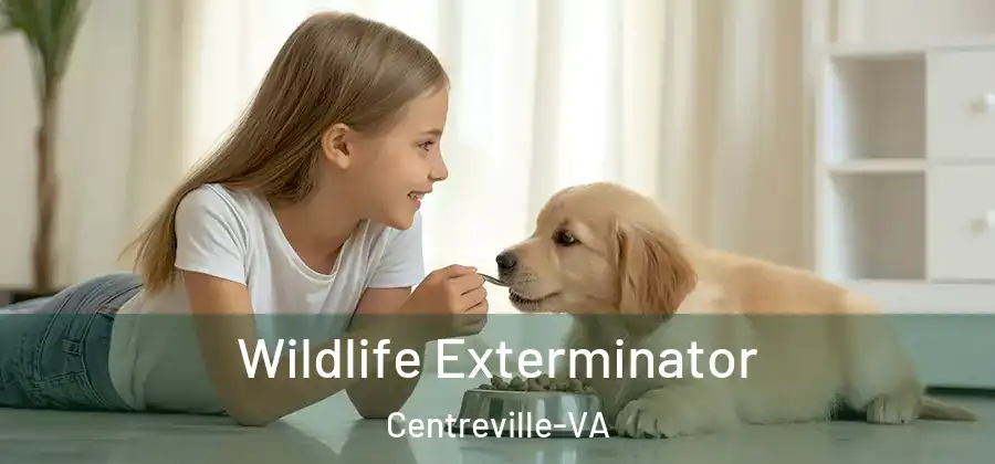  Wildlife Exterminator Centreville-VA
