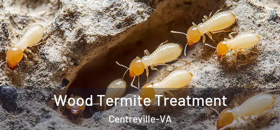  Wood Termite Treatment Centreville-VA