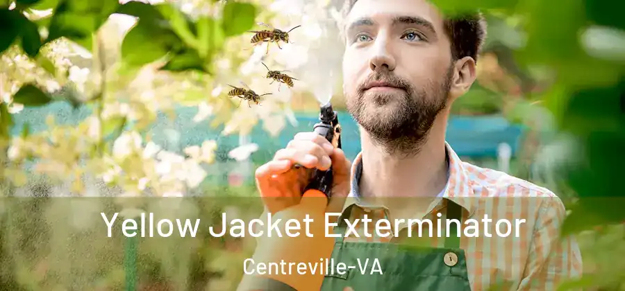  Yellow Jacket Exterminator Centreville-VA
